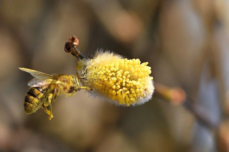 Иначе беда и недуги привяжутся: что нельзя делать 12 апреля