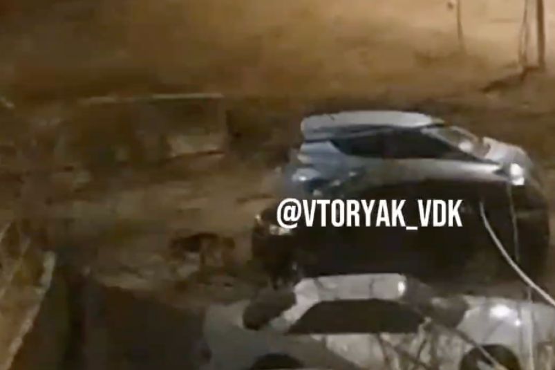 "Живого места нет": опасная "банда" держит в страже жилой район Владивостока