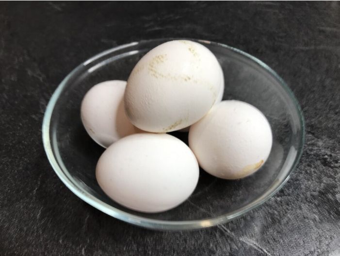 Домашние или магазинные яйца: исследование различий и мифов