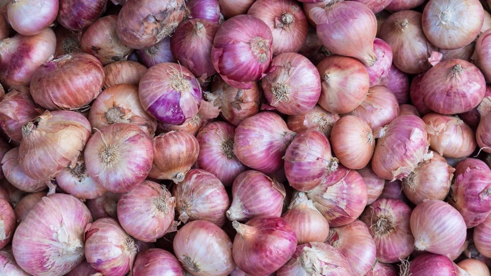 У половины дачников лук гниет при хранении: допускают ошибки сразу после сбора
