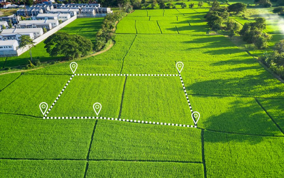 Как стать обладателем бесхозной земли в 2025 году