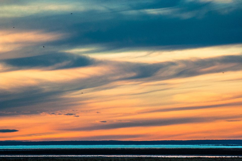 ������������ �� ������ �������: ����� ������ ��� ������������ ������