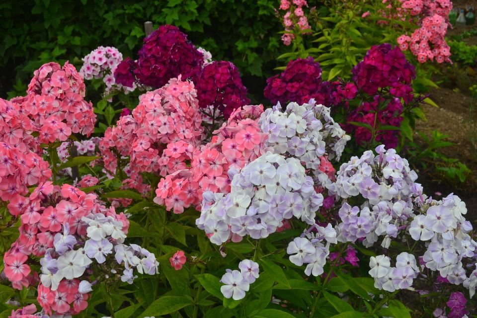 ������: ��� ������ � ������������ � ������������ ������� ��� ������ ����