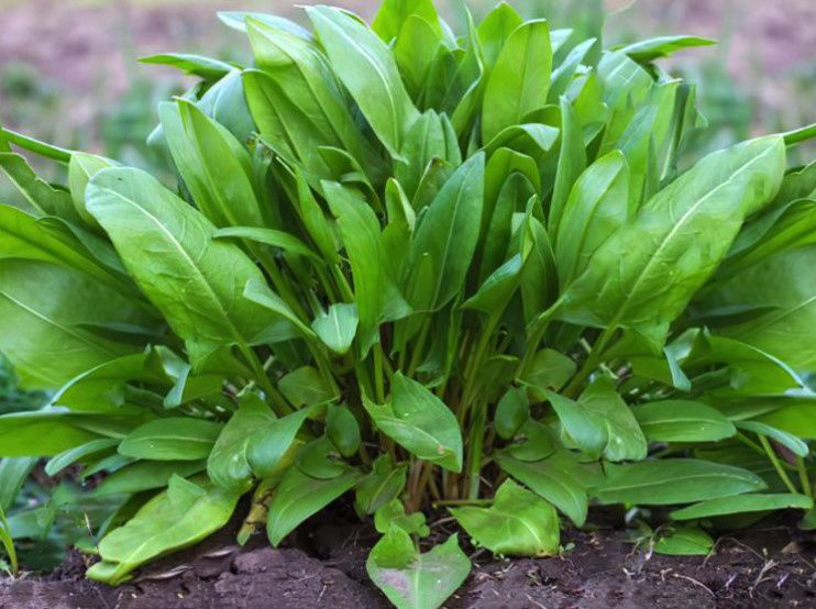 ��� ������ �� ���������� ���� ���� ������� ������� �����