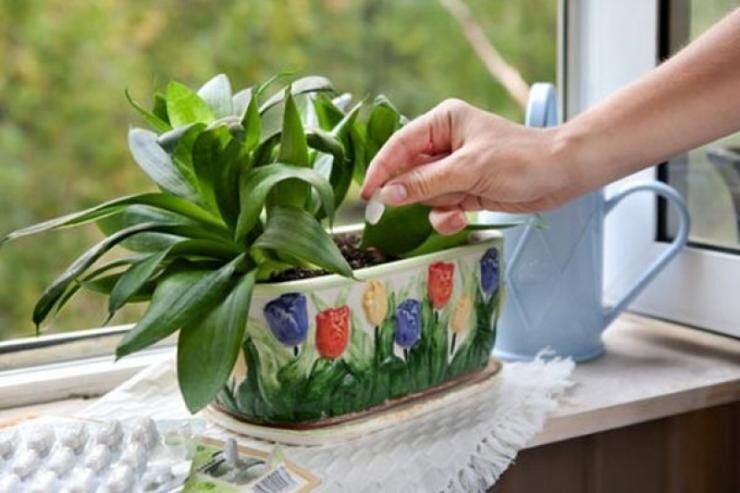 ������� �������� ������ ��������� ��������� ��������