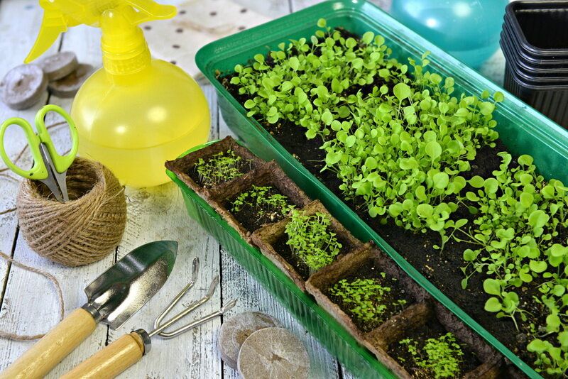 ��������� ����� �� ���������: ��� �������� ��������� ��� ����� �����������