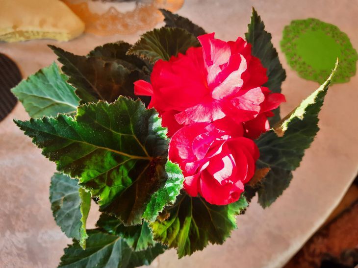 ����� �������� ��� ������ � ��� ������: �������� � ������ ���� ����