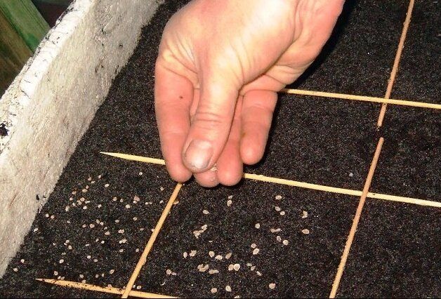 ������� � ����� ��� �������: ����� �������� ���������� ������ �����