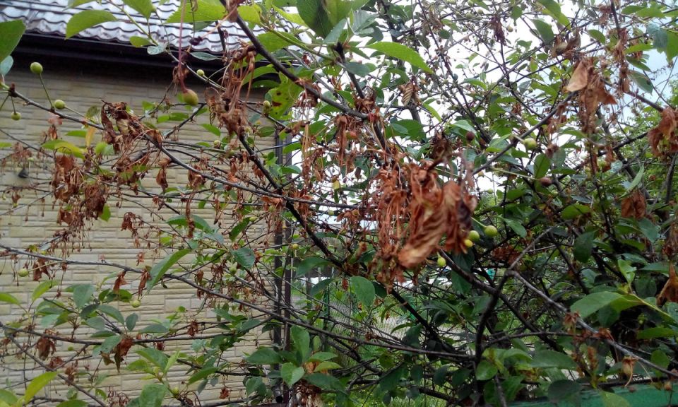 ��������: ������� ���� �����