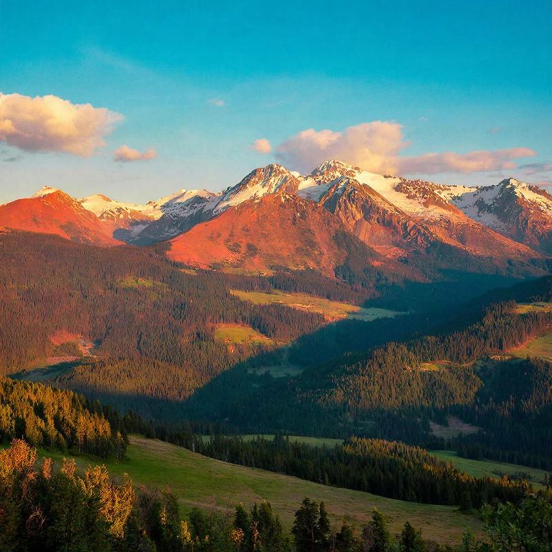 ����� ����� � ���������������: ������������ � �������� �� ������������� �����