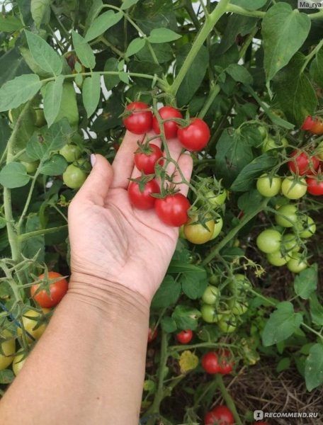 ����� ��� ���: ������������ ������, ������� �������� ��������� �� ����� ����