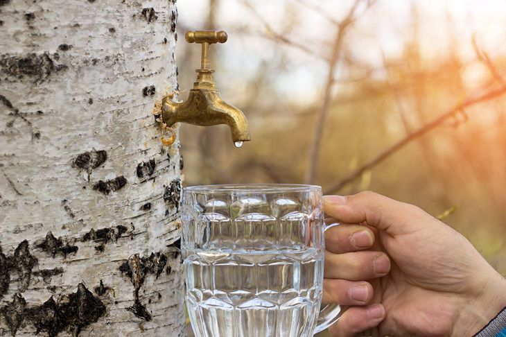 �������� ��� ���� ���� �������� ����� ���������� ����, ������� ������� ���� �����