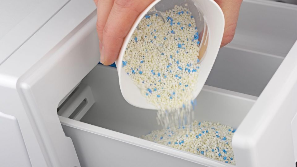 ����� ������� ������� �� ���������� ���������� ������� ��� ���: ������ ������ ����