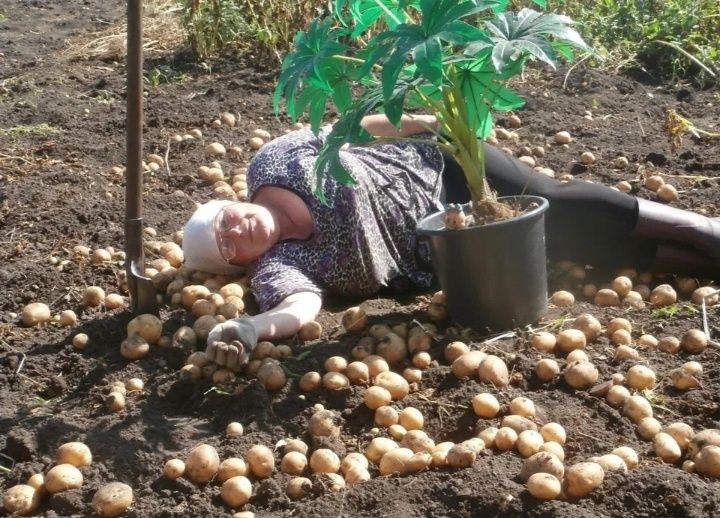 ��� ��������� �������� ��������: ������, ������� ������� �������� ������