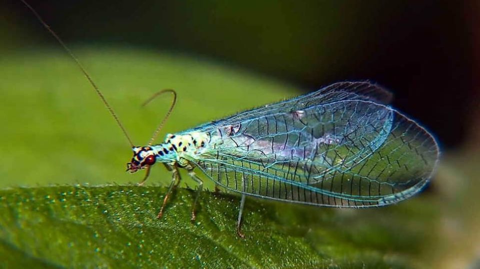 �� ������� ����� ����������� ����� ������� ������ ����������