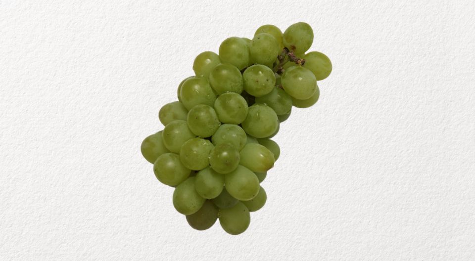 ����� ������������ �� ��������: 9 �������, ������� ������ ���� ���� � �������� ���������