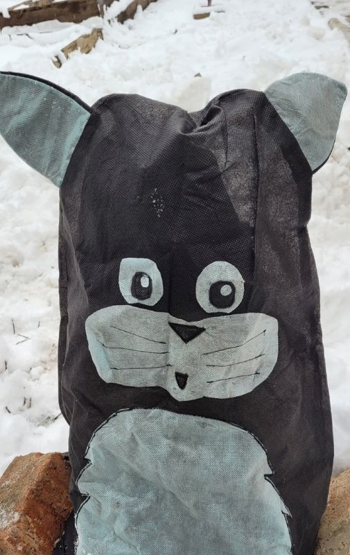 ������ ���: ������� ������� �������