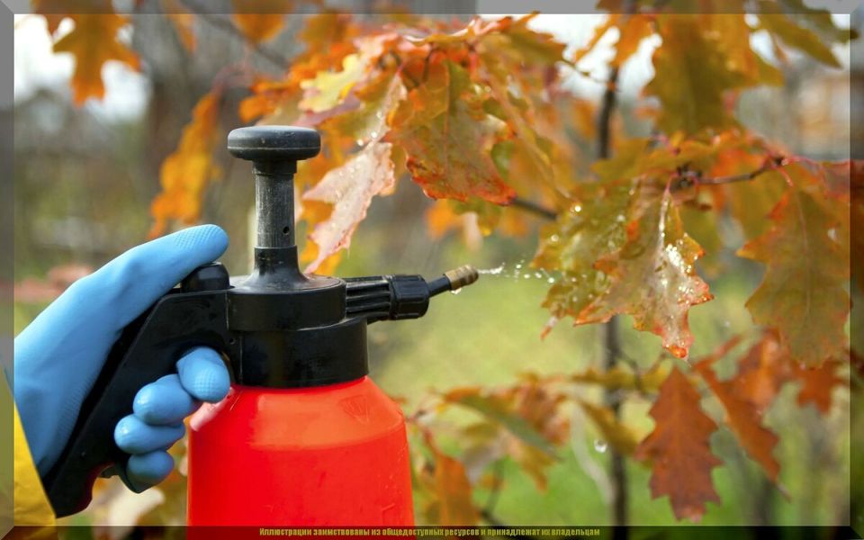 ��� �������� ��� �� ������ �����: ������� ��� ��������?