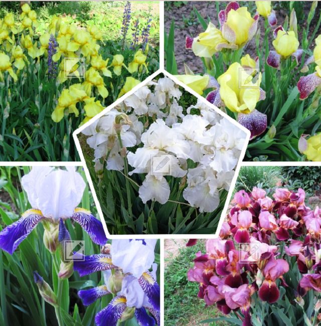 ������� ��������� ����� �� �������: ��� �������� ������� ��������