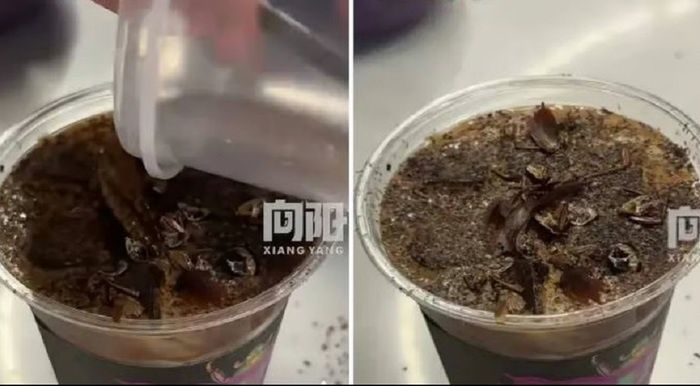 � ����� �������� ���� � ����������: ����� ����� ��� �������?