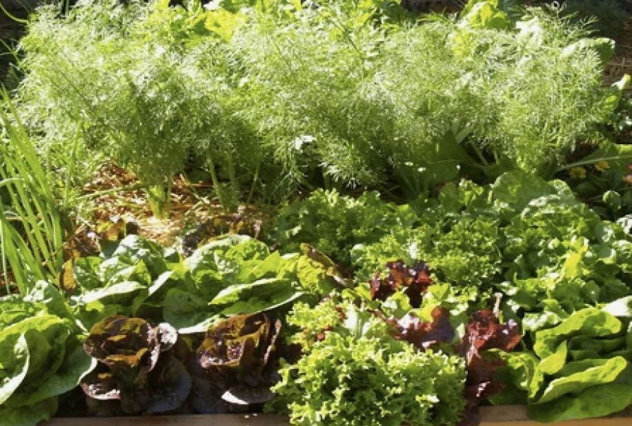 ���� �� �������: ����� �������� ����� ������� ��� �������� ������