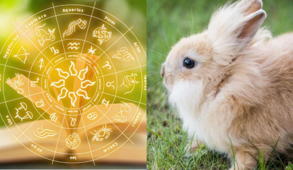 Согласно вашему знаку Зодиака, кем вы могли бы быть на ферме?