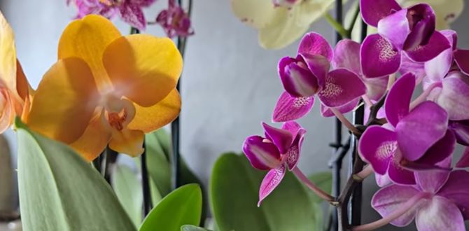 ��� ��������� �������� �������: �������� ���� � ������ ������� �����