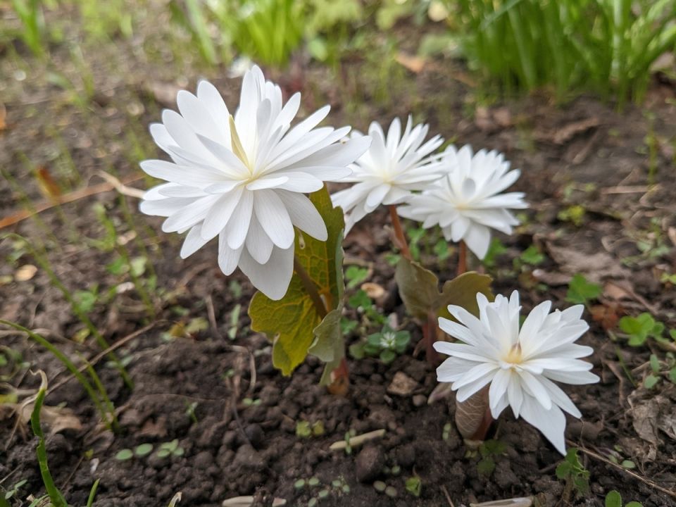 �����, ������� �� �������� ���������� � ���� ������������ ��������� � ����