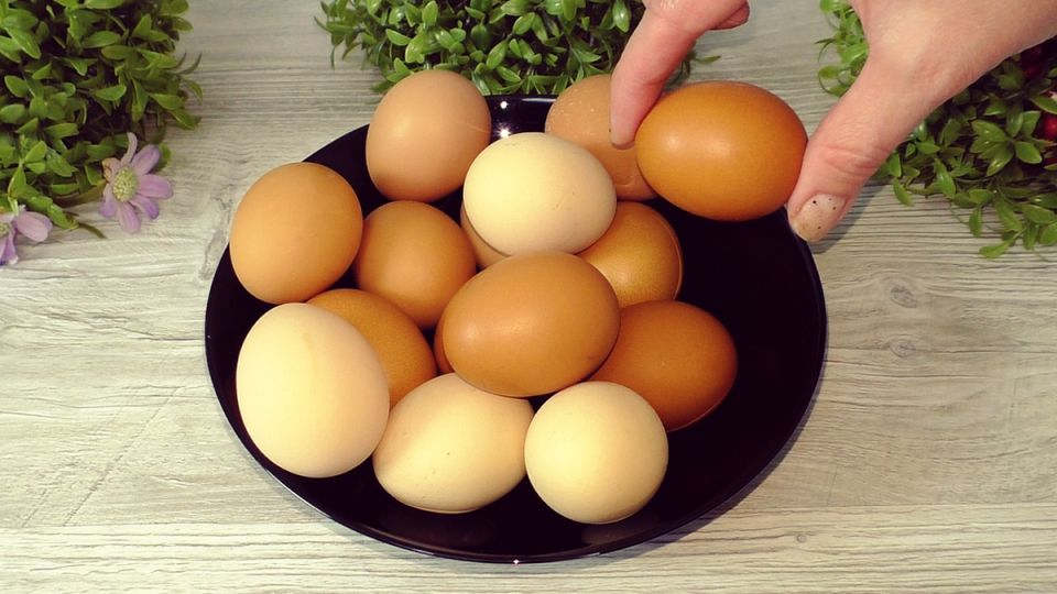 ��������� ������ ������� ������ ���: ������� �� ���������