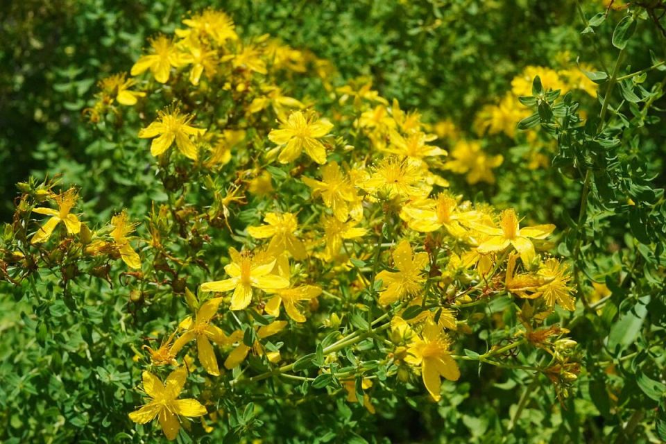 ������� ���������: ��� ��������� ����������� ������ � ����