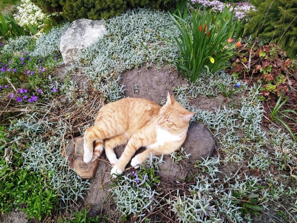 ˸���� ���: ��� ���������� �� �������, ����� ��� �������� ������ �������