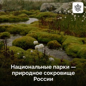  :    