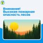 Внимание! В ближайшие дни прогнозируется установление высокой пожарной опасности лесов