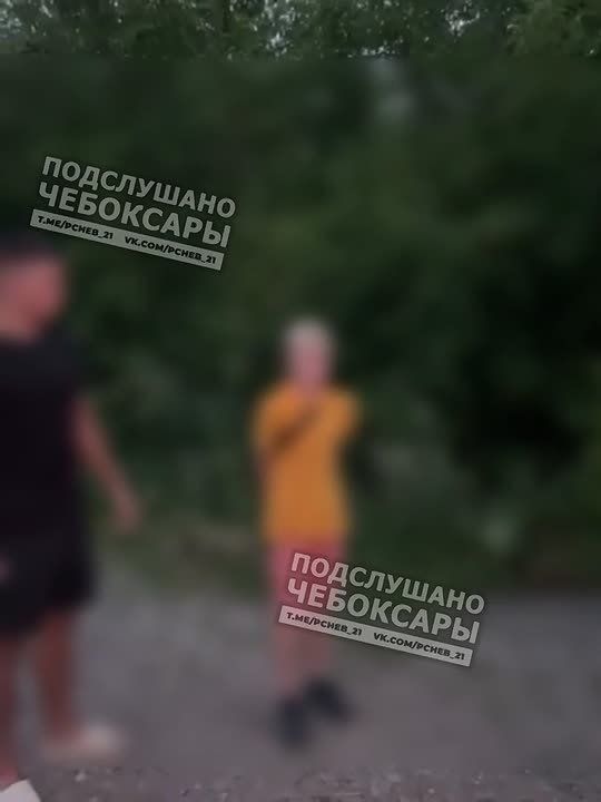  :    ( )     -    12  13         ,      