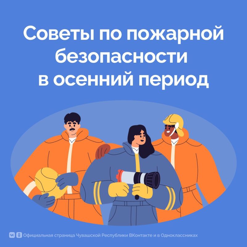     :   ,  