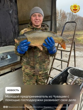         ,      ,      