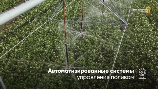       -2025  