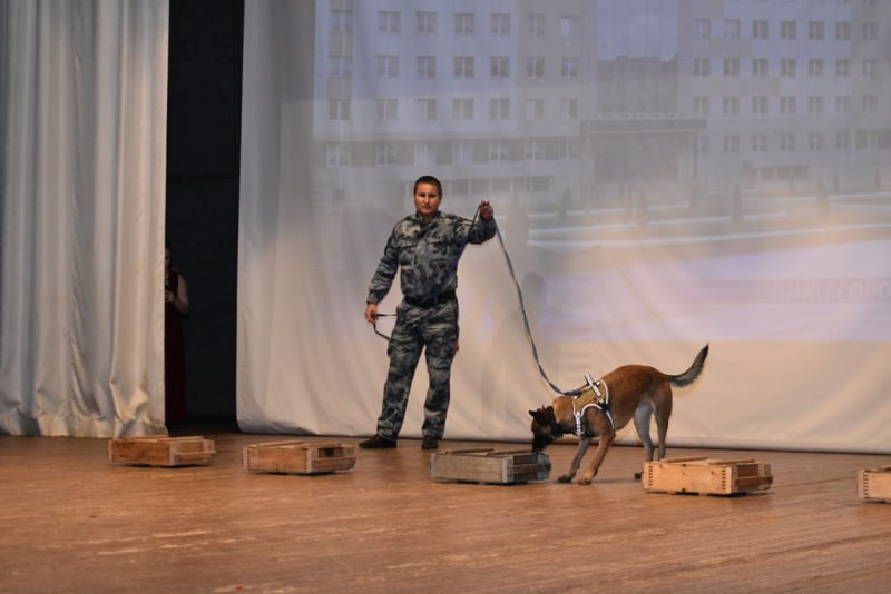 В Чувашии полицейские провели масштабное профориентационное мероприятие «Будь в форме!» В Чувашии полицейские провели масштабное профориентационное мероприятие «Будь в форме!»