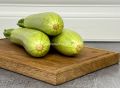 Как приготовить легкие и вкусные кабачки: новый способ без масла и сыра