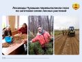 Работники лесничеств республики уже заготовили более 1,6 тонны семян лесных растений, превысив установленный годовой план на 58,4 килограмма