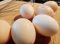 "Немецкая кухня": как приготовить вкусный пирог –  бюджетный рецепт
