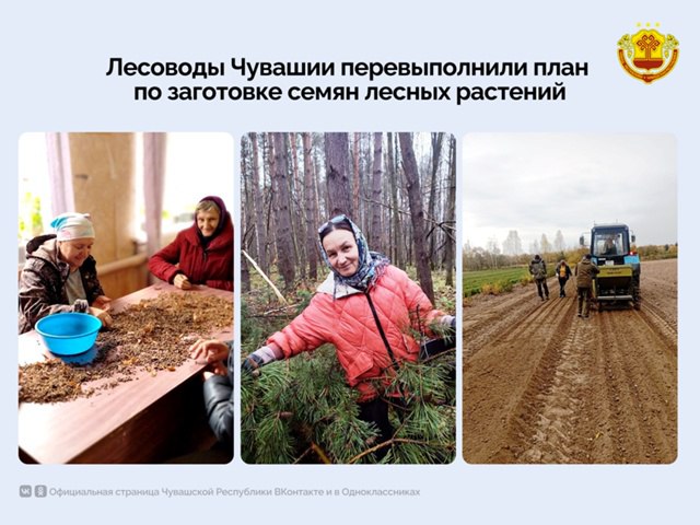 Работники лесничеств республики уже заготовили более 1,6 тонны семян лесных растений, превысив установленный годовой план на 58,4 килограмма