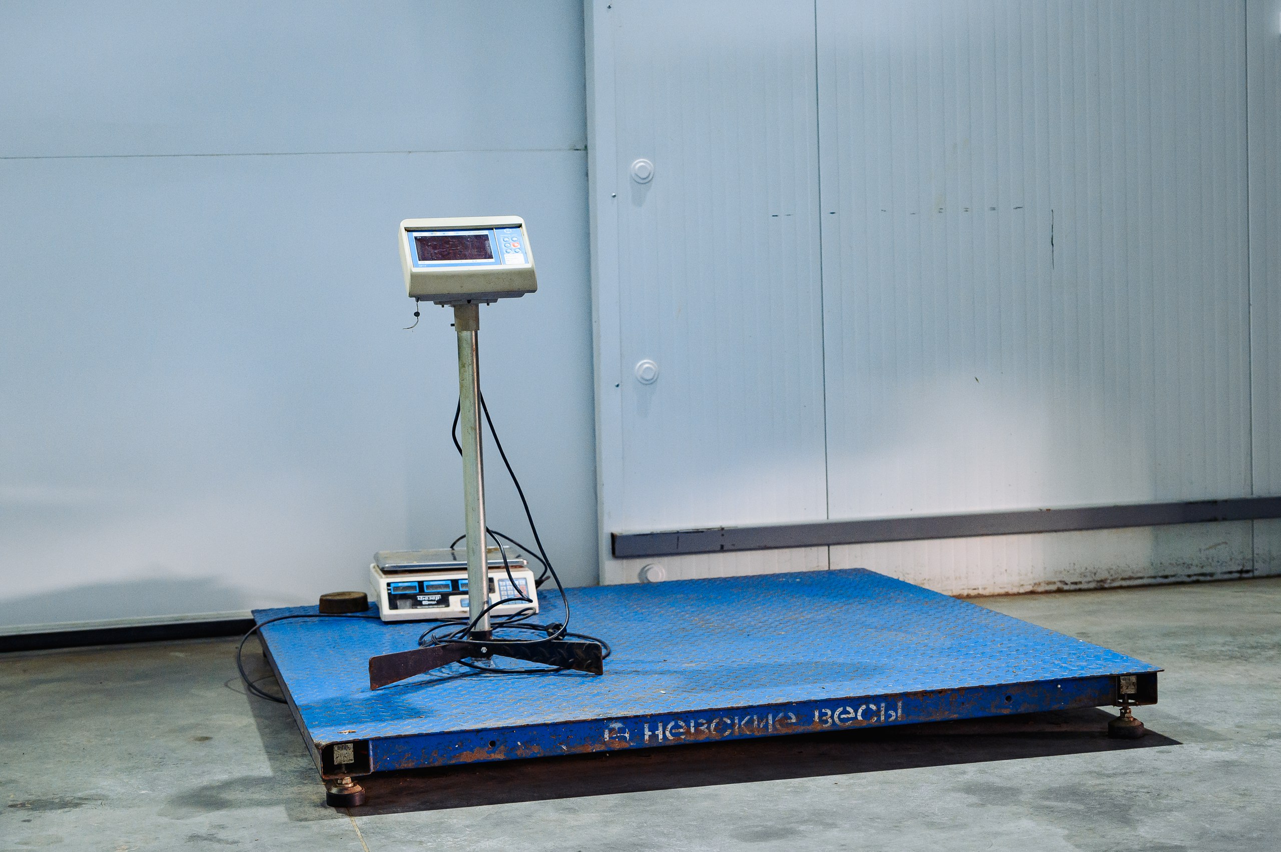 Господдержка в действии. Кооператив «Ниме» торжественно открыл овощехранилище с автоматическим регулированием климата на 2400 тонн в деревне Кильдишево Ядринского округа Господдержка в действии. Кооператив «Ниме» торжественно открыл овощехранилище с автоматическим регулированием климата на 2400 тонн в деревне Кильдишево Ядринского округа