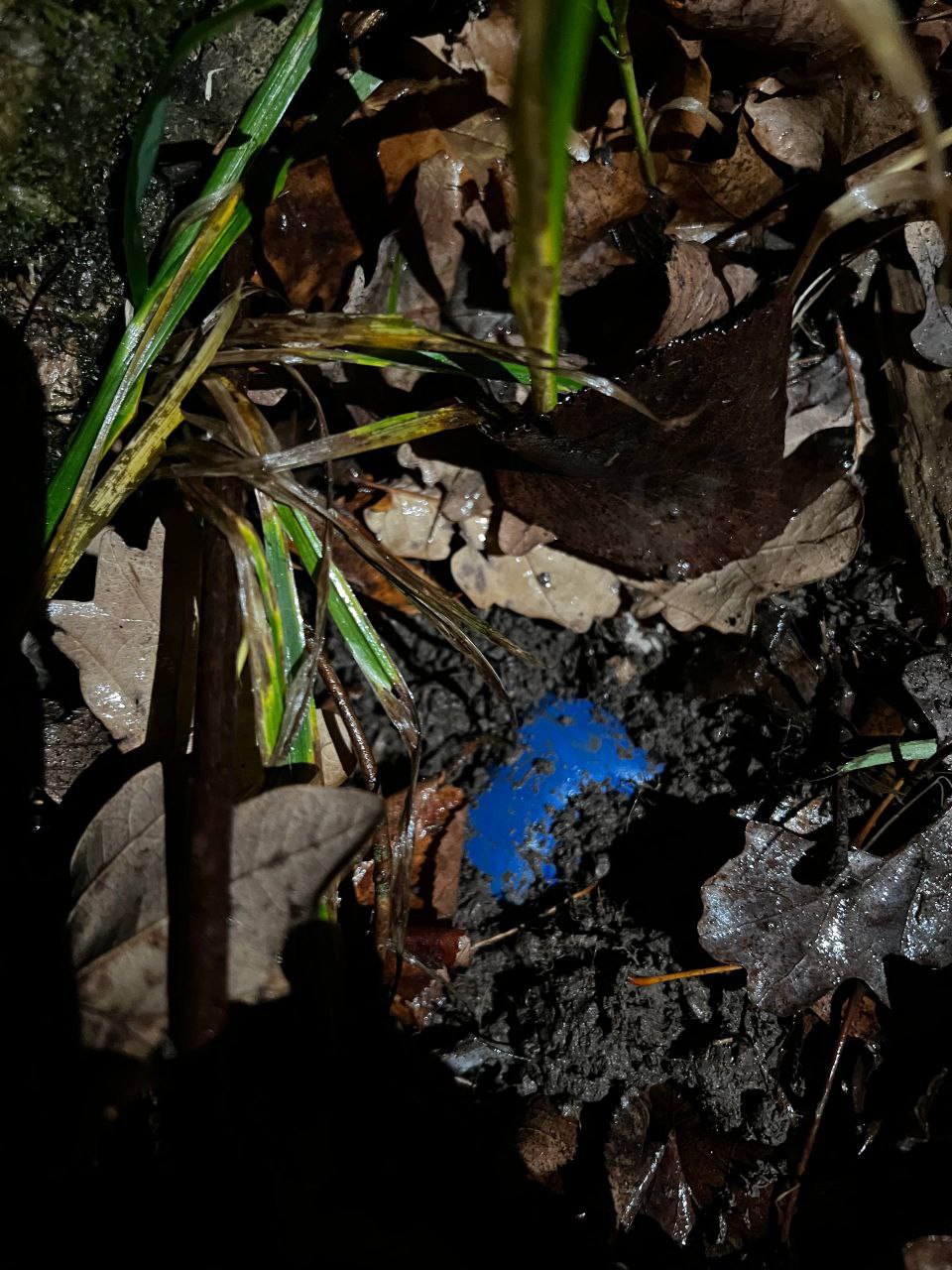 Полицейские Чебоксар задержали подозреваемую в покушении на сбыт синтетического наркотика Полицейские Чебоксар задержали подозреваемую в покушении на сбыт синтетического наркотика