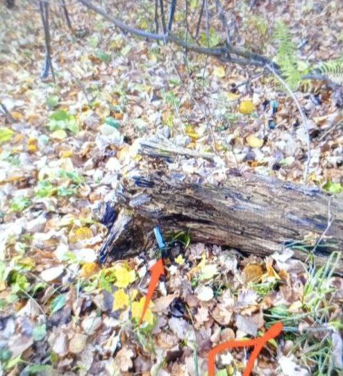 Задержана новочебоксарка по подозрению в покушении на сбыт наркотиков Задержана новочебоксарка по подозрению в покушении на сбыт наркотиков