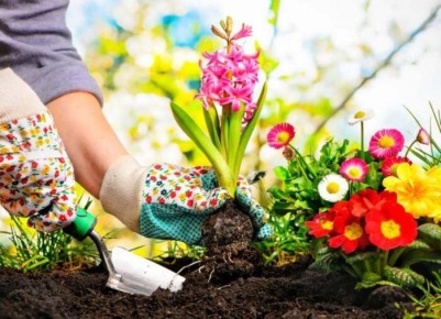 Работа в саду: непросто для растений, но легко для фигуры