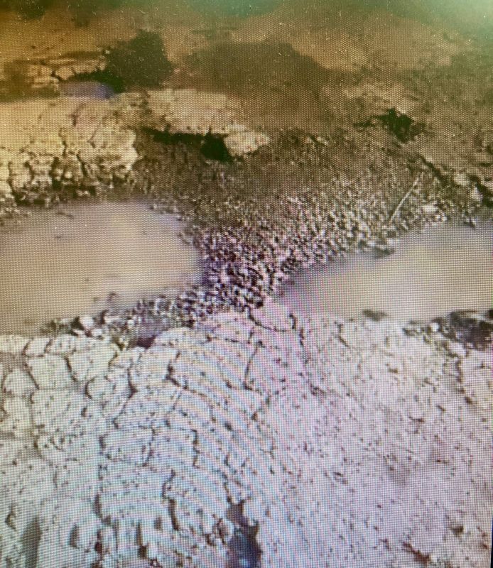 Прокуратура Мариинско-Посадского района потребовала провести ремонт участков автодороги, по которой проезжает школьный автобус