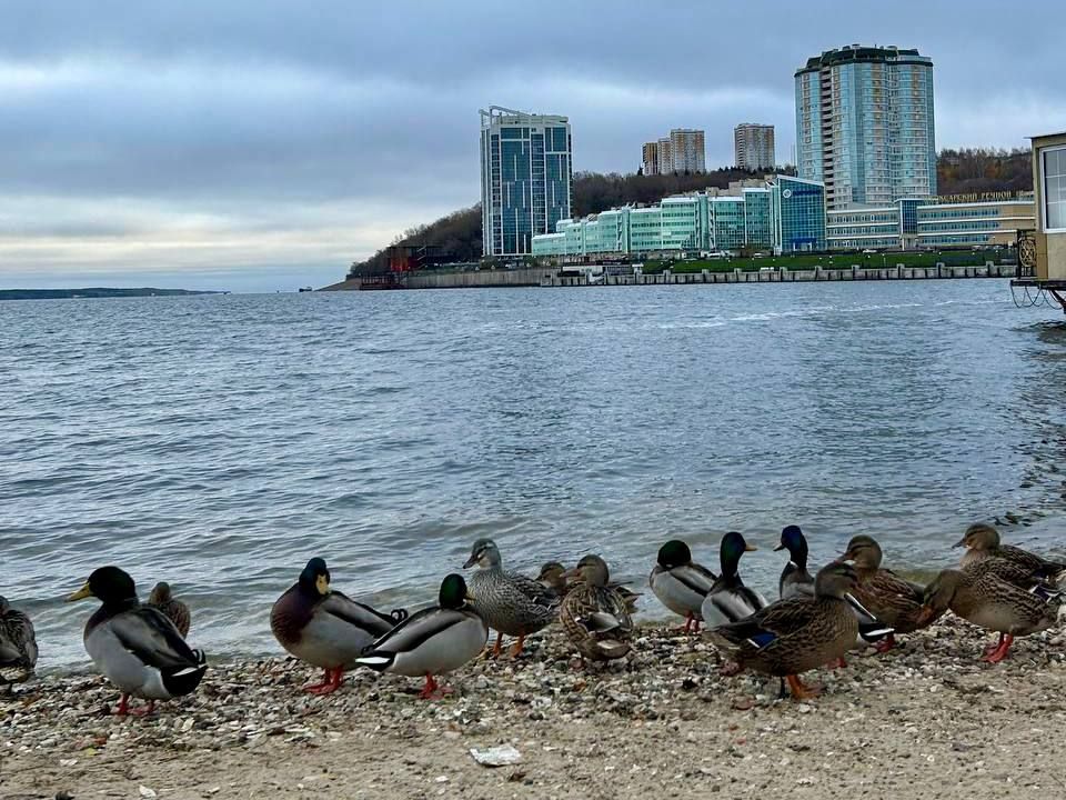 , !.      -     ,      ,        