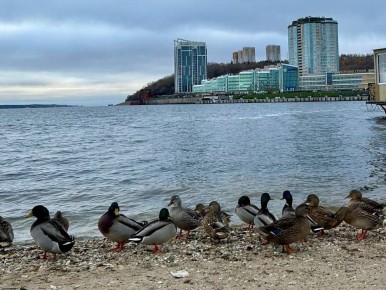 , !.      -     ,      ,        