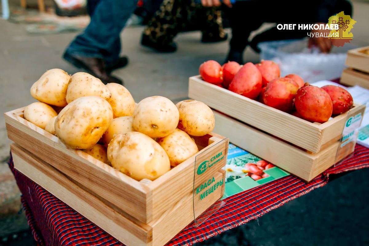 В Чувашии подведены предварительные итоги уборочной кампании В Чувашии подведены предварительные итоги уборочной кампании